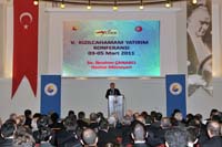 TOB_5754.jpg