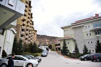TOB_5958.jpg