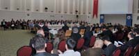 TOB_6036.jpg