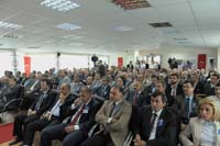 TOB_6777.jpg